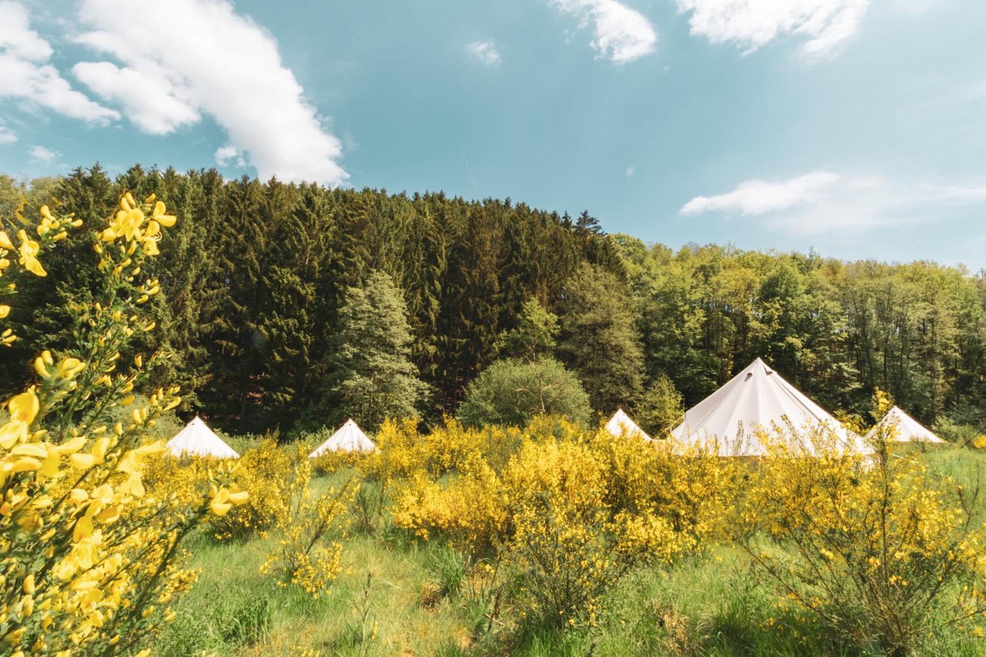 Daft Hotel & Glamping 말메디 외부 사진